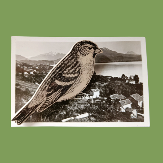 Broche détourée OISEAU en céramique -40%