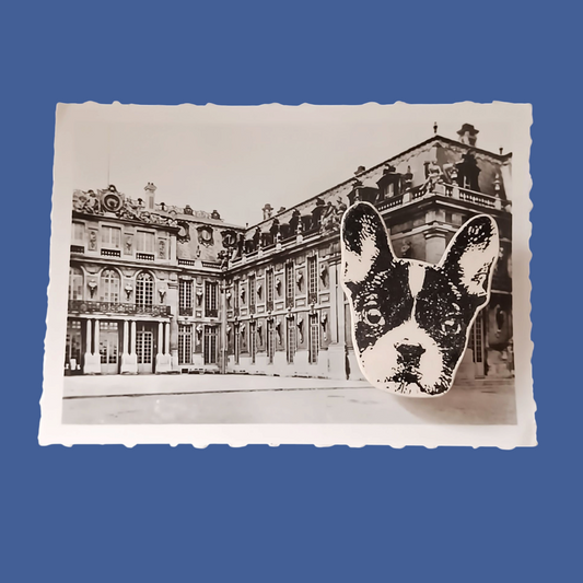 Broche détourée CHIEN en céramique -40%